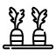 Vegetable Garden